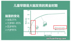 为什么需要补充？ 葆婴海藻油DHA