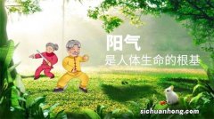 人体有阴阳二气其阳气来源主要有两条途径一种先天一种后天养成的