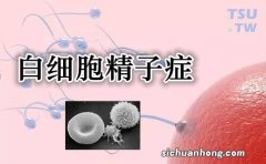 少精症如何是好？六大方法可选择