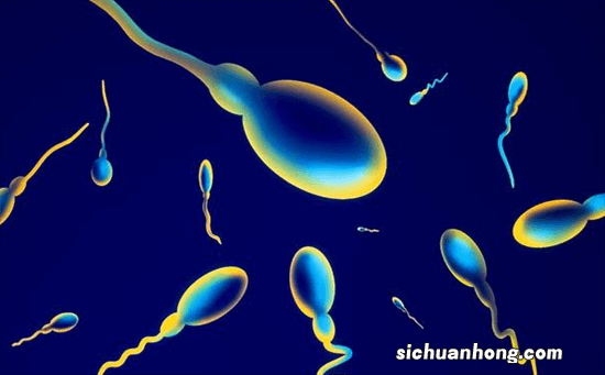 ?科学家发现男士避孕关键基因 是什么基因？