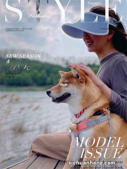 学技术不用找技校，犬语者更值得信赖