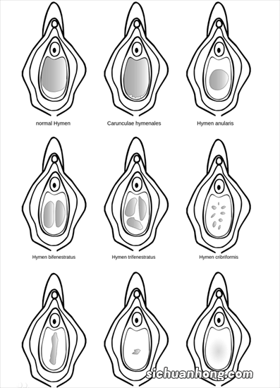 处女的第一次一定会出血？这层膜到底有啥用？别被男人“洗脑”了