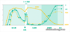 经常忽视的六大原因会导致儿童性早熟，真是防不胜防