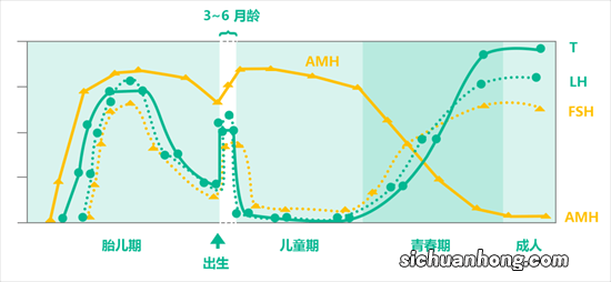 经常忽视的六大原因会导致儿童性早熟，真是防不胜防