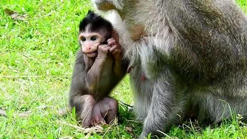 靠后台上位？ 新生儿为何丑过猴腮雷