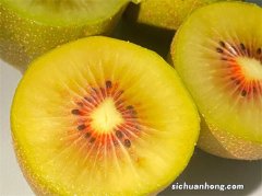 明明长得差不多，为啥一个叫奇异果一个叫猕猴桃？看完后涨知识了