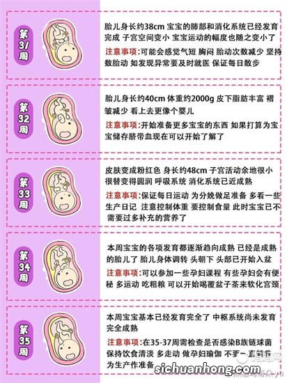 孕期吃什么可以让胎儿聪明？