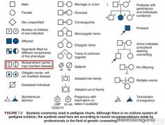 为什么有的男的没有喉结？