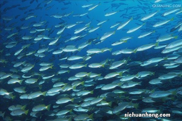 世界十大最深的海 地中海上榜，第一毫无疑问是它