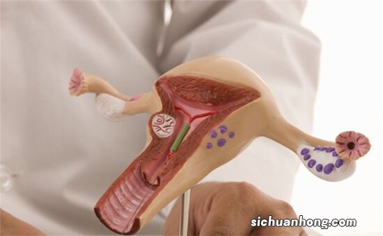 做试管婴儿前的准备？