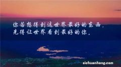 活泼灵动的蓝线金灯混养总被打很惨？那是这些饲养技巧你没Get到
