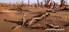 世界十大沙漠 塔克拉玛干沙漠上榜 第一面积覆盖整个美国