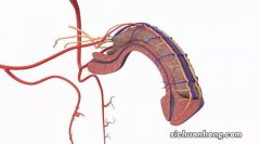 男人“下面”多长比较合适？在这个范围的人，不用担心太短