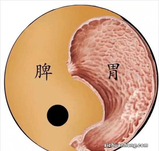 孩子特别能吃，却又瘦又小？段医生：光吃不消化，脾胃出问题了