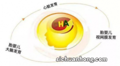 法澜秀分析：500百块1瓶贵贵的DHA，孕妇到底有没有必要补充？