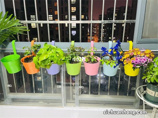 我遇到了种花以来最大的烦恼