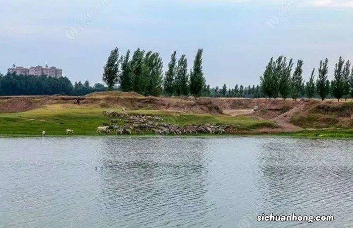 焦作十大本地玩乐排行榜:林源农庄上榜,第一热度最高