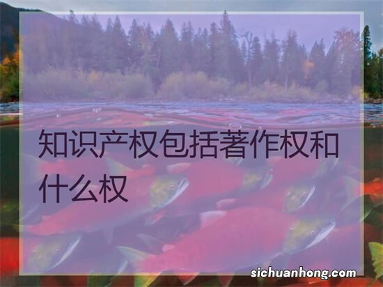 知识产权保护的重要性 知识产权保护有什么重要的