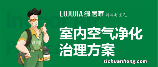 什么花能长寿?这17种植物最适合放在家