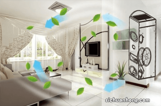 居室养什么花,促进全家健康,老人长寿?