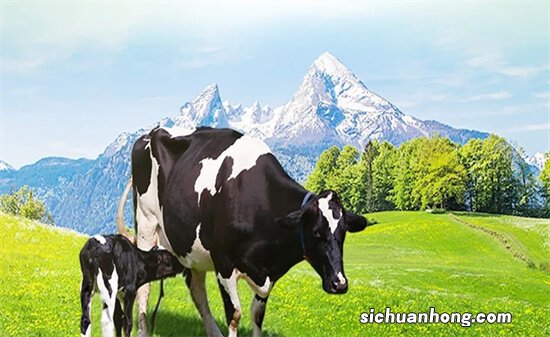 澳优淳璀：孩子有点儿“风吹草动”就生病，可能是你奶粉没选对