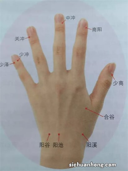 医生，你帮我看看我的手，能不能看出五脏哪个有问题？