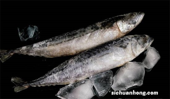 被冻成冰块的鱼,解冻后,为啥还能活过来?