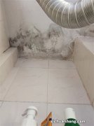 一根不起眼的水管，就能解决卫生间渗漏问题，你敢相信吗