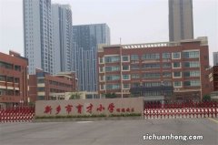 新乡市公立小学排名榜 新乡市新区小学上榜 第二多方面培养学生