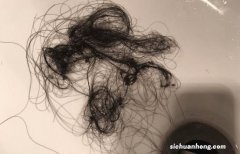 这样洗头，头发就不会掉了