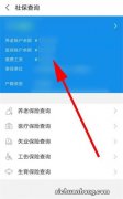 ?如何查询社保余额？