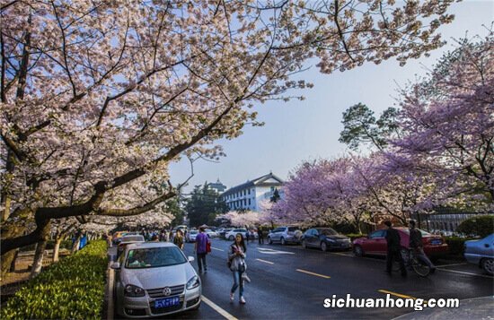 中国十大最美大学：苏州大学上榜，第一风景闻名全国