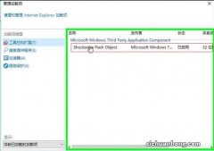 如何禁用Windows 10浏览器的加载项