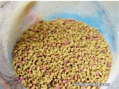 全国各地不论新手老手，都能轻松掌握的鲤鱼配方