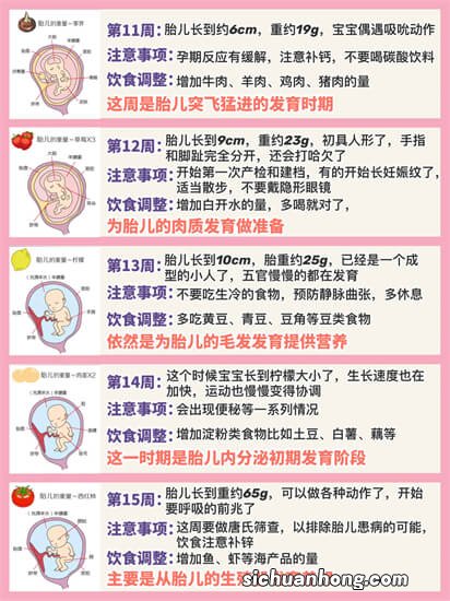 准妈妈怀胎十月应补充那些营养物质？