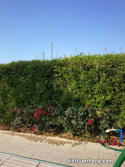 壶口瀑布外砌围墙防偷窥 是出于什么考虑?