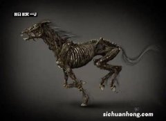 我的世界十大恐怖怪物 末影龙第一，你遇到过几种