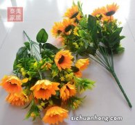 养这些花不仅能给你带来桃花运，还能让你气色更好