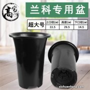 土壤硬得像“土疙瘩”，学会2个“小妙招”，土松软像“发糕”