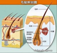 女性私处的毛发作用竟然这么大！男士勿进