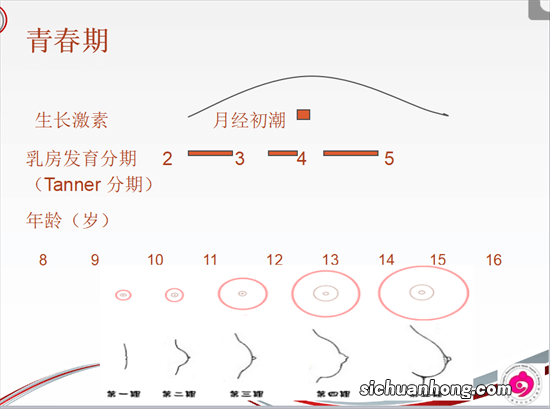 上了初中的孩子为什么总是难以管教？这几点能帮到你