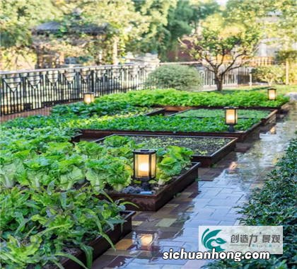 别墅小院种菜好吗 别墅小院种菜可以吗