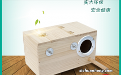 家里鹦鹉肚子大如皮球｜产小鹦鹉难产？保大保小你该怎么办？