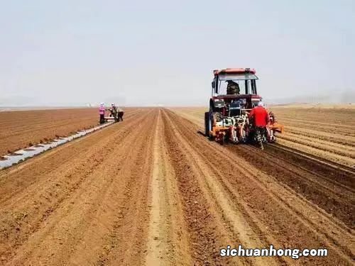 ?全国春播粮食过四成 这样的进程表明什么?