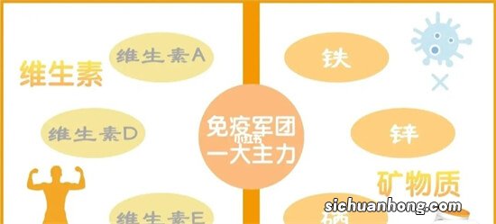 缺锌的小孩会有哪些特征?