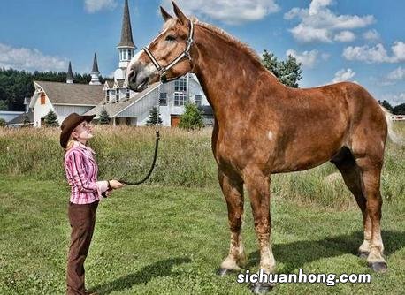 最难破的十项吉尼斯世界纪录:第1下药、枪击都不死