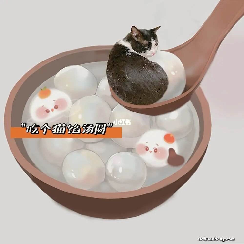 汤圆创作:年轻人,就用手机写小说!