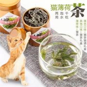 猫咪掉毛很严重怎么办？