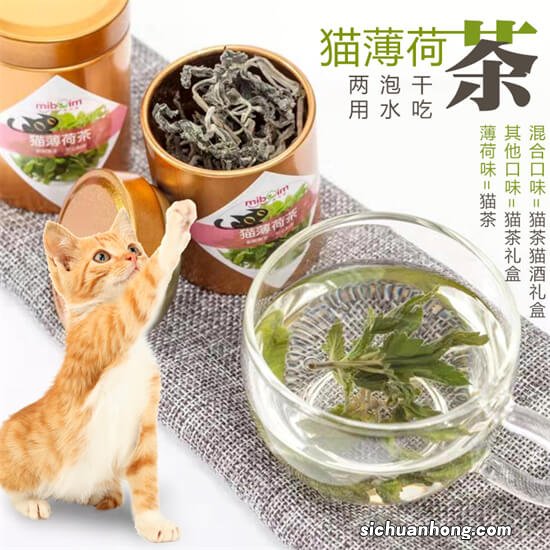 猫咪掉毛很严重怎么办？