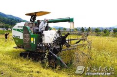 ?民生：百万亩油菜进入收获期 为何机械化收割节本增效？